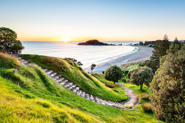 Tauranga travel package